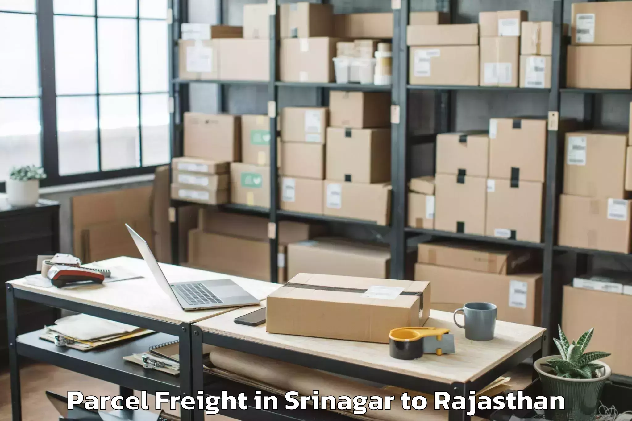 Easy Srinagar to Shri Jagdishprasad Jhabrmal Ti Parcel Freight Booking